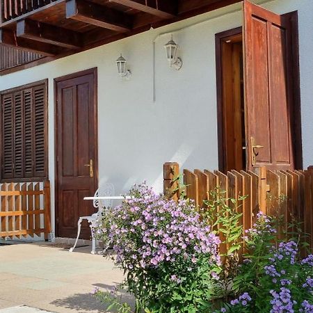 Vila Panselutelor 6 Sinaia Exterior photo