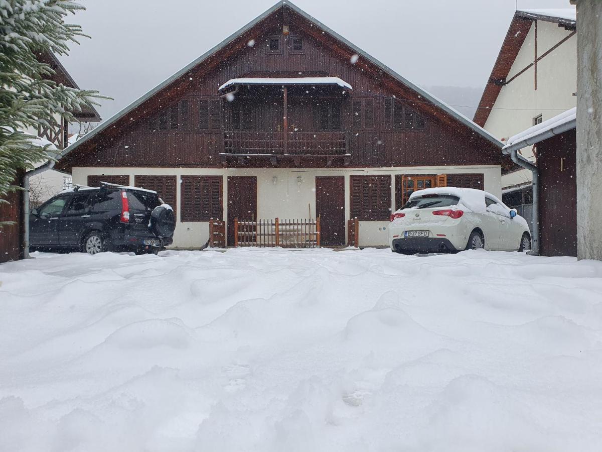 Vila Panselutelor 6 Sinaia Exterior photo