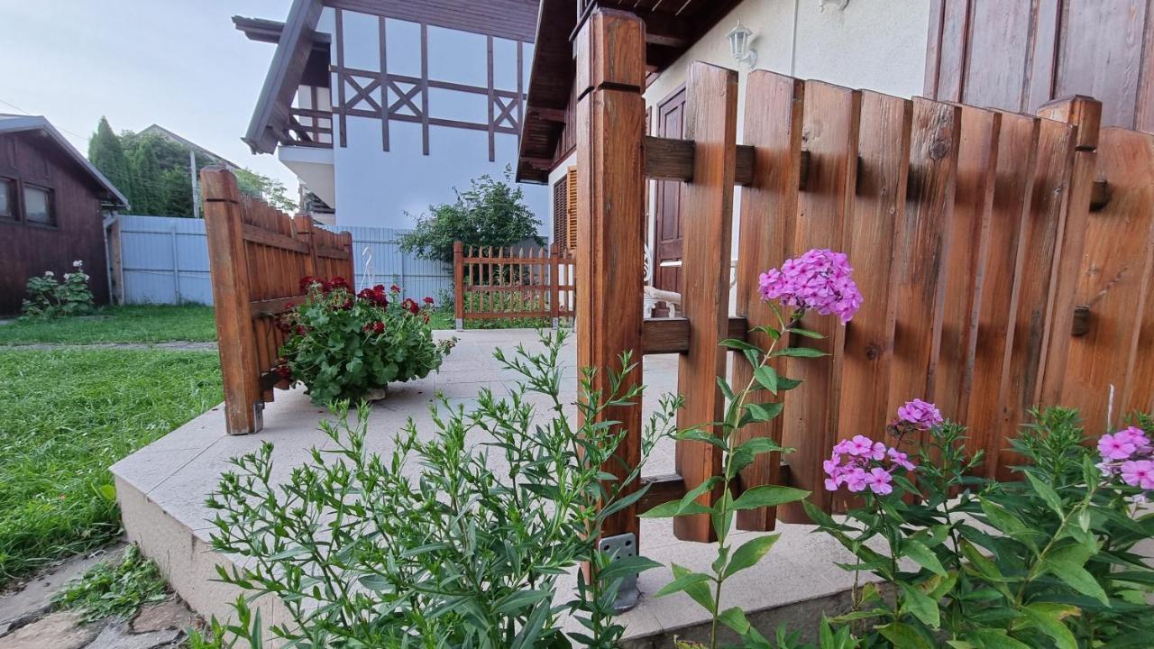 Vila Panselutelor 6 Sinaia Exterior photo